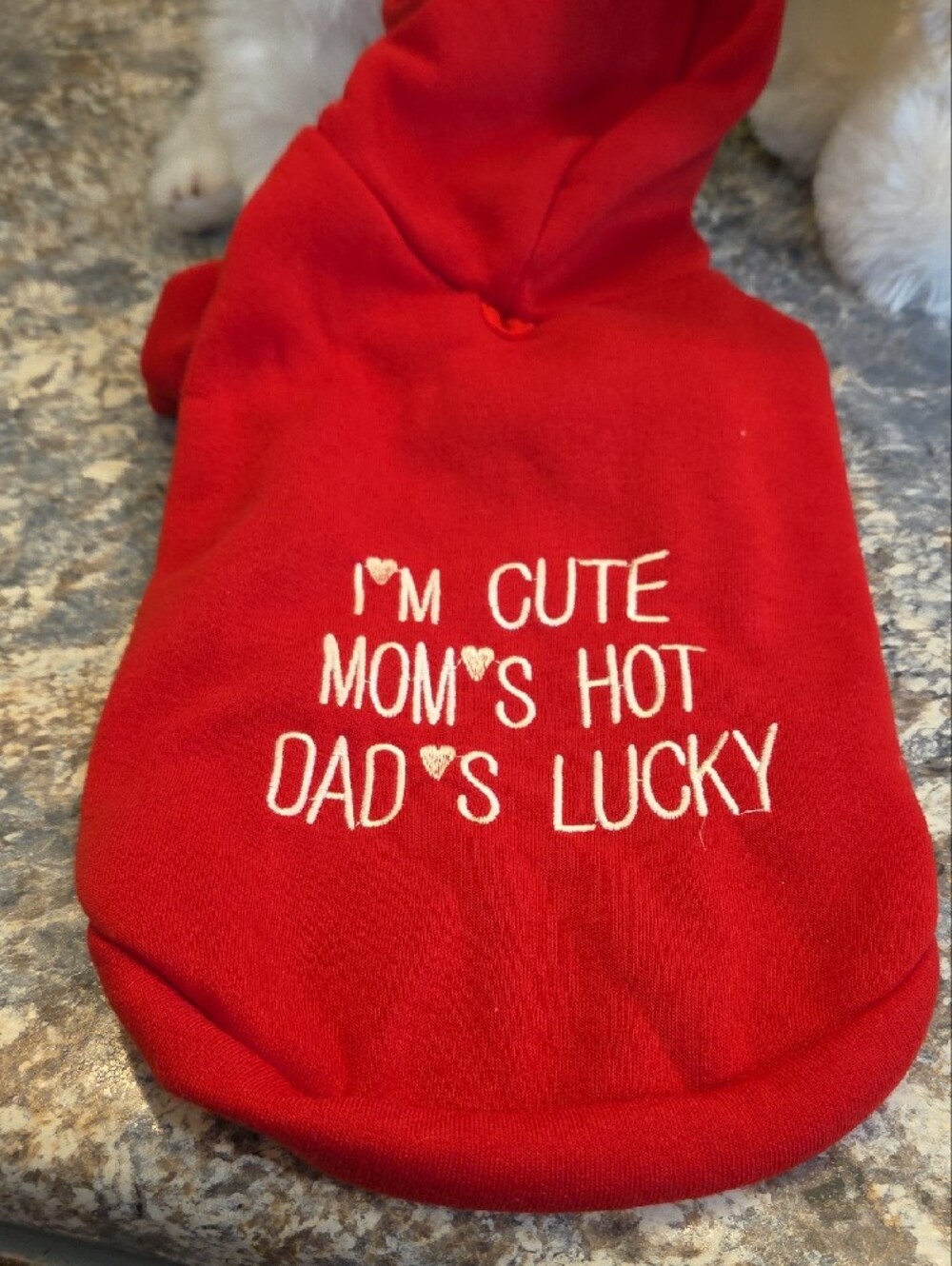Red Fleece Dog Hoodie with Hood - Unbranded